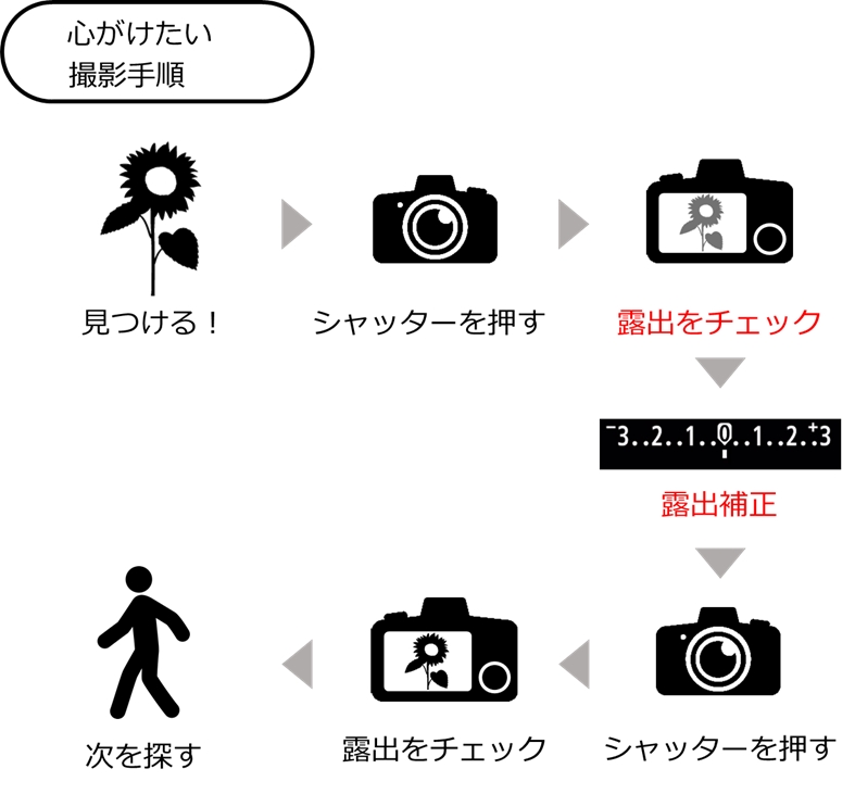 撮る、露出補正、撮る、確認する 繰り返すイラスト