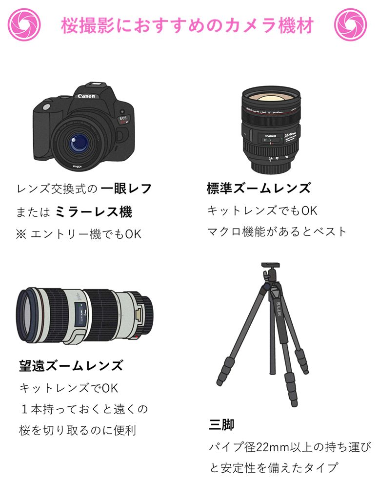 桜撮影におすすめのカメラ機材、カメラ、標準ズーム、望遠レンズ、三脚の写真