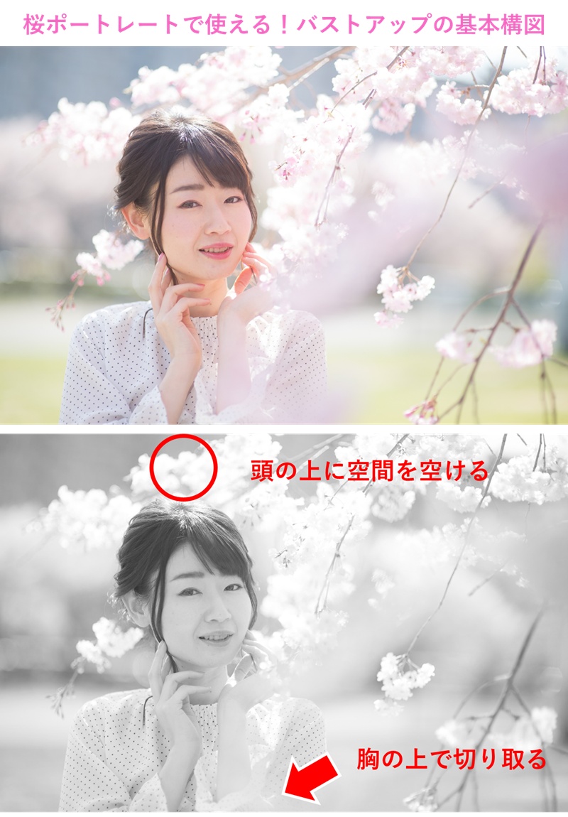 桜ポートレートの撮り方 可愛く撮れる基本の３ステップを解説 一眼レフの教科書 写真教室フォトアドバイス 公式