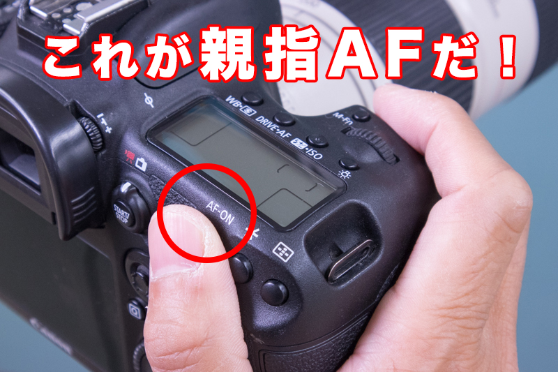 親指AFでピント合わせが楽になる！一眼レフ設定とシーン別の使い方を ...