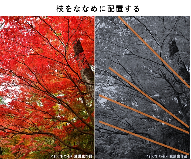 枝を斜めに配置した紅葉写真