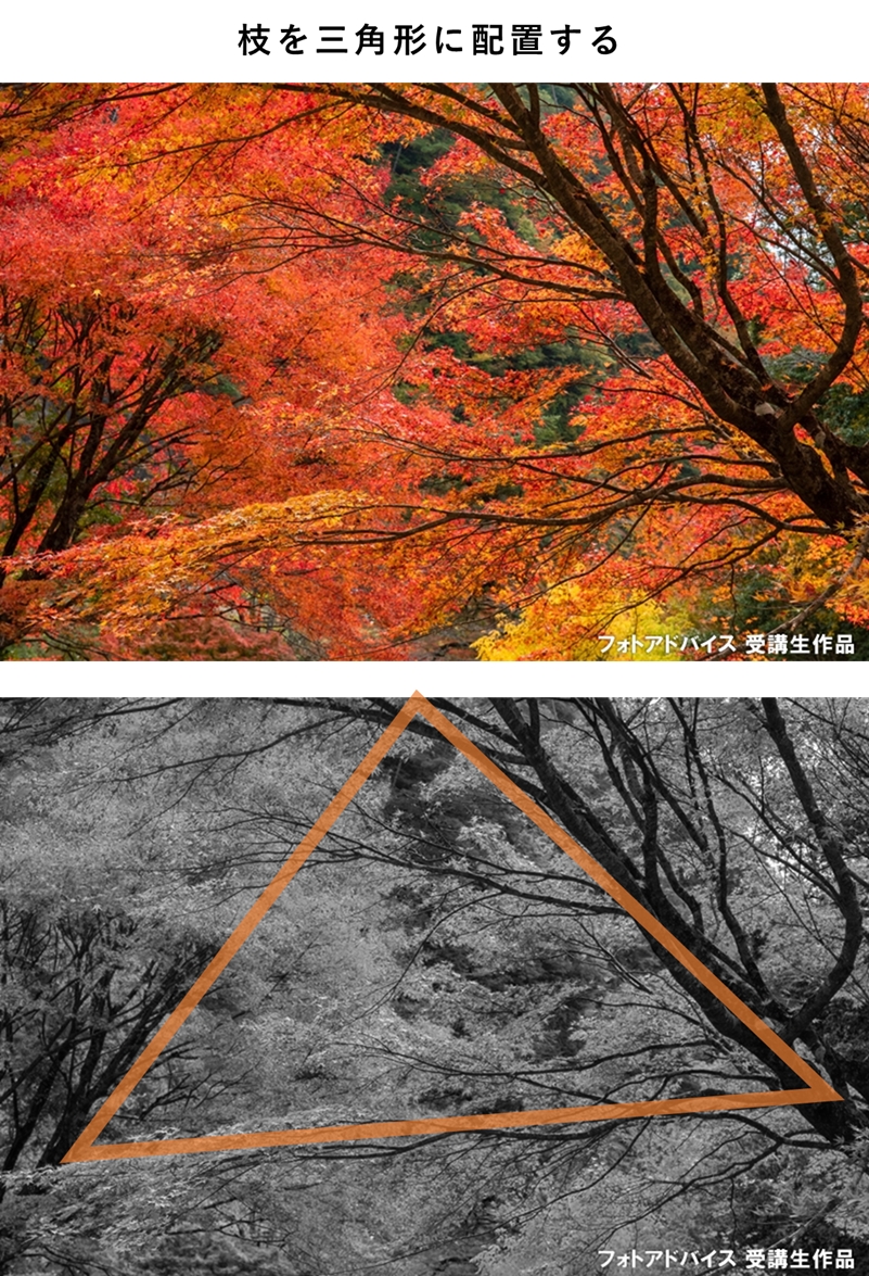 枝を三角に配置した紅葉写真