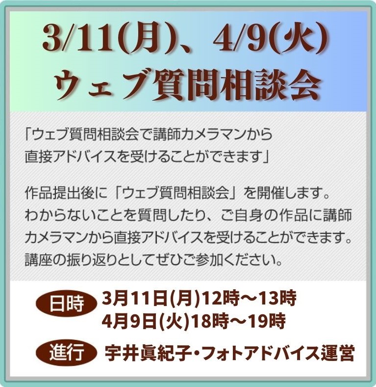 ウェブ質問相談会